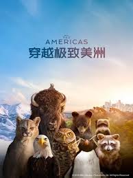穿越极致美洲国语(全集)