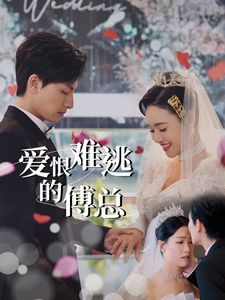 爱恨难逃的傅总第01-30集